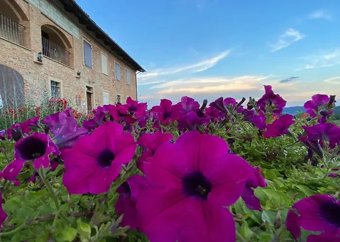 ファームステイ La Ca Veja